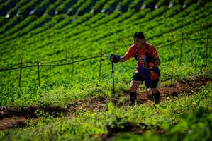 BIB: 
                            <button type="button" onclick="openModal(19160936)" class="btn btn-primary btn-sm float-right btn-popup" data-toggle="modal" data-target=".modal-high-quality">
                        <i class="fas fa-shopping-cart"></i> Add to Cart
                    </button>
                                            <button type="button" onclick="isThisMe(19160936, true)" class="btn btn-success btn-sm float-right btn-popup btn-isme hidden" data-toggle="tooltip" data-placement="bottom" title="นี่คือรูปของคุณใช่ไหม คลิกที่นี่เพื่อเอาเข้าอัลบั้ม">
                        <i class="fas fa-plus"></i> Add to album
                    </button>
                    <button type="button" onclick="isThisMe(19160936, false)" class="btn btn-warning btn-sm float-right btn-popup btn-isnotme hidden">
                        <i class="fas fa-ban"></i> Remove from album
                    </button>